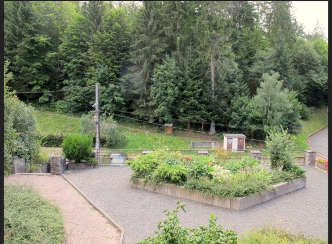 Studio Le Manet Appartamento Le Hohwald Esterno foto